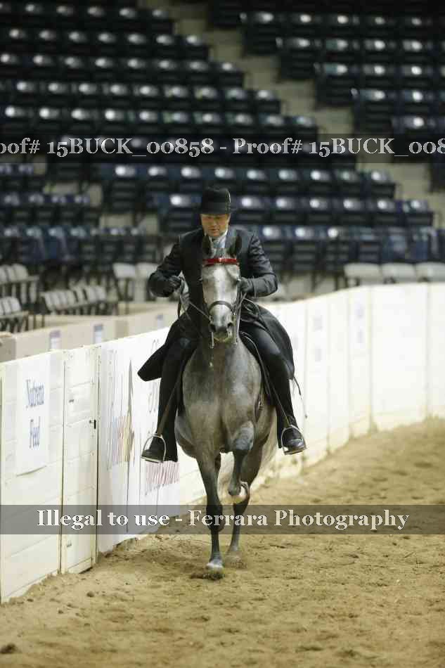 Proof 15BUCK_00858