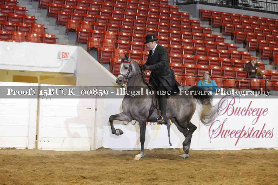 Proof 15BUCK_00859