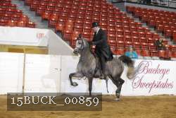 15BUCK_00859 proof