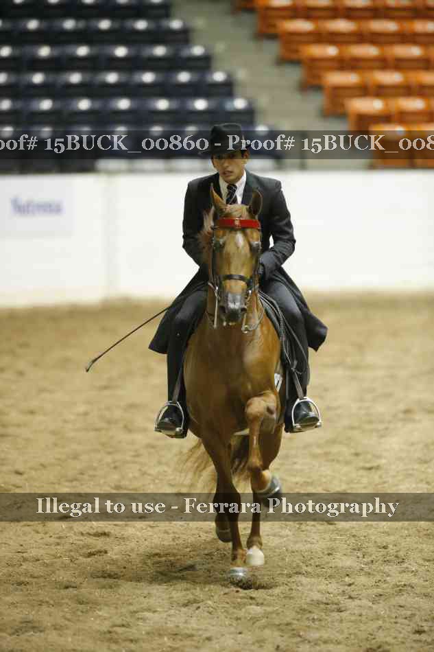Proof 15BUCK_00860