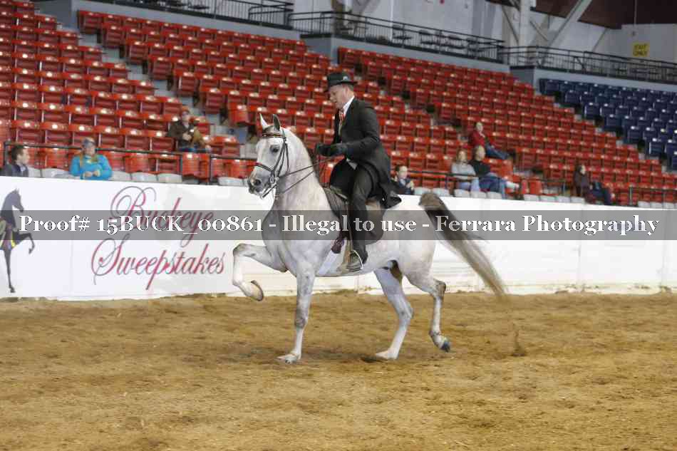 Proof 15BUCK_00861
