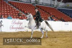 15BUCK_00861 proof