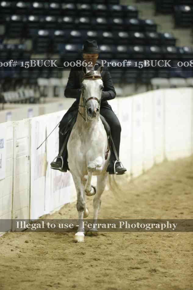 Proof 15BUCK_00862