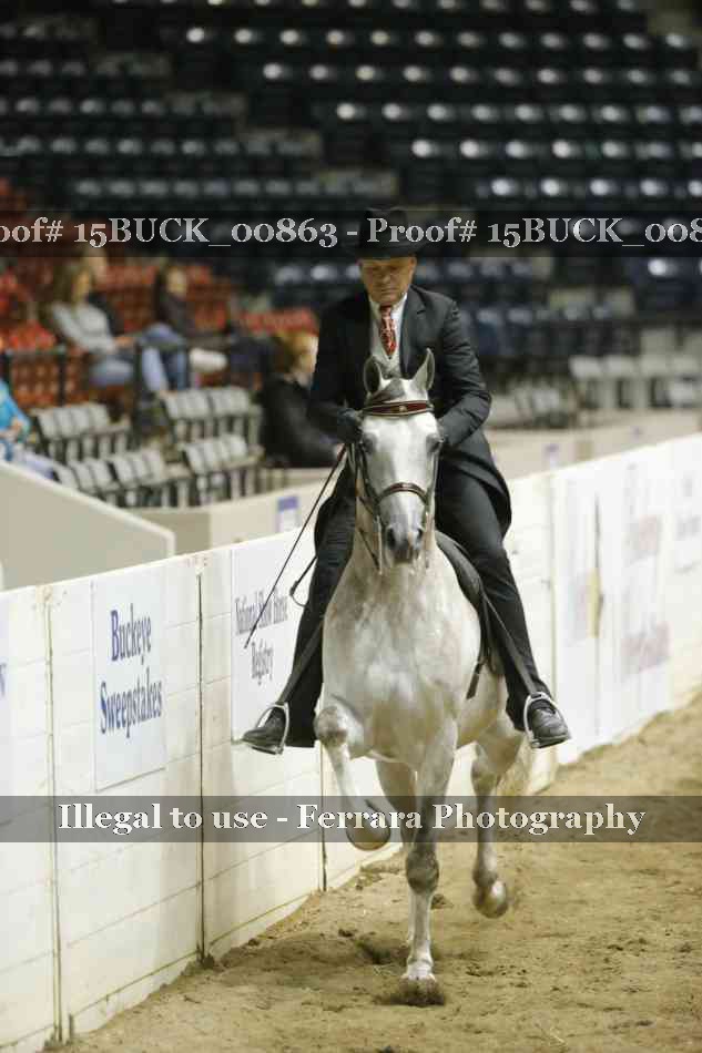 Proof 15BUCK_00863