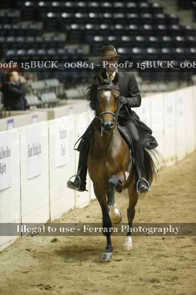 Proof 15BUCK_00864