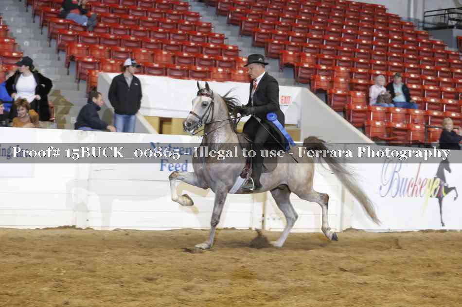 Proof 15BUCK_00865