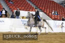 15BUCK_00865 proof