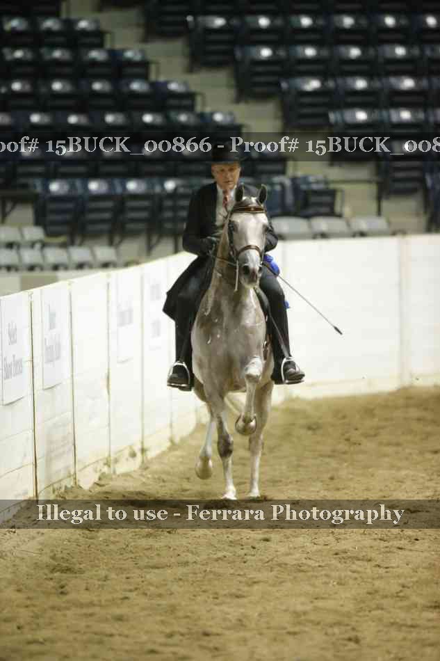 Proof 15BUCK_00866
