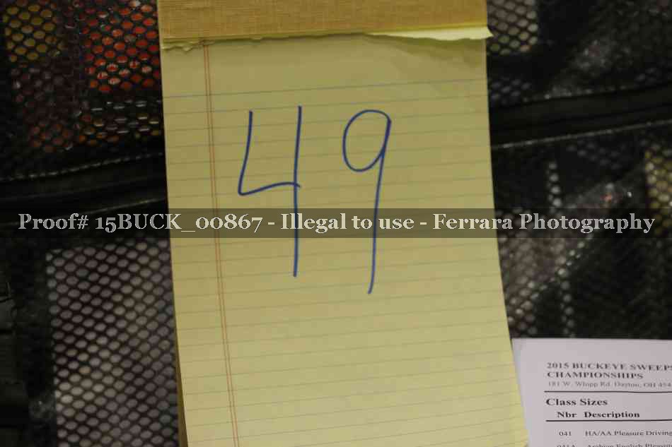 Proof 15BUCK_00867
