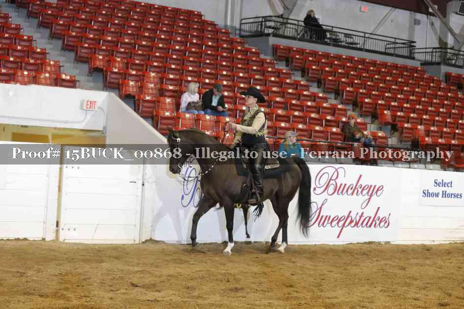 Proof 15BUCK_00868