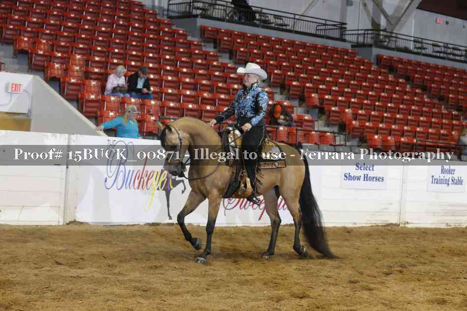 Proof 15BUCK_00871