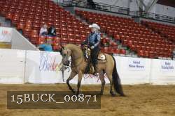 15BUCK_00871 proof