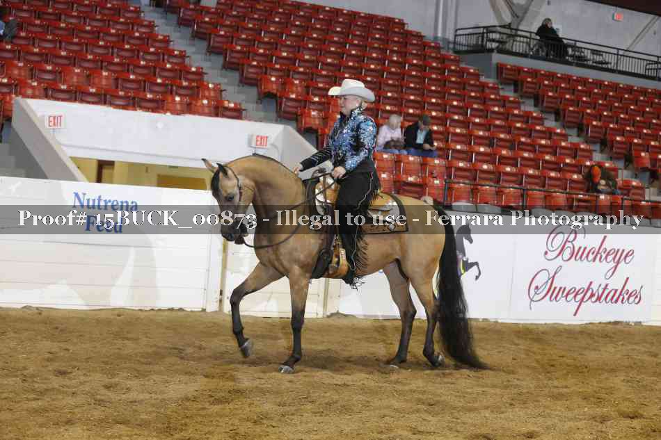 Proof 15BUCK_00873