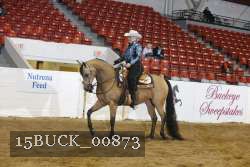 15BUCK_00873 proof