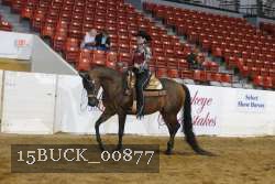 15BUCK_00877 proof