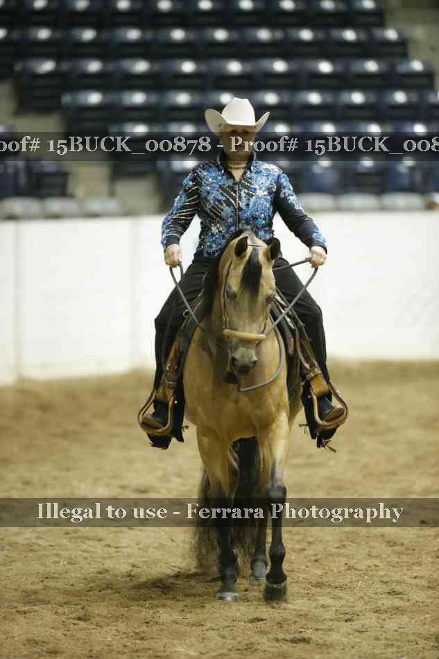 Proof 15BUCK_00878