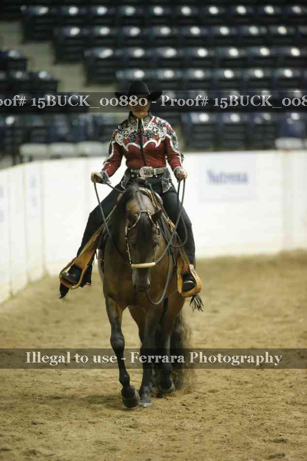 Proof 15BUCK_00880