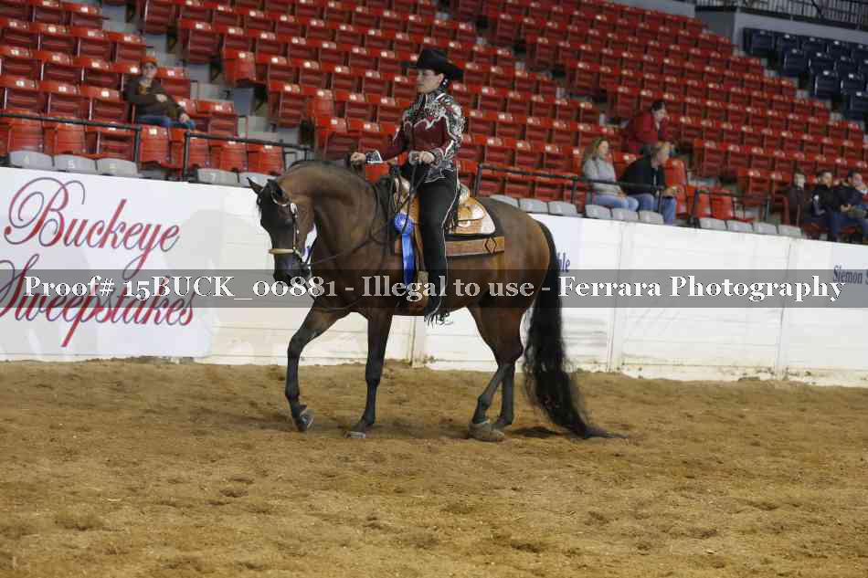 Proof 15BUCK_00881