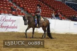 15BUCK_00881 proof