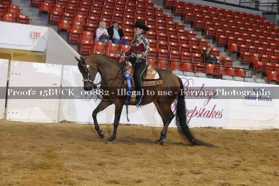 Proof 15BUCK_00882