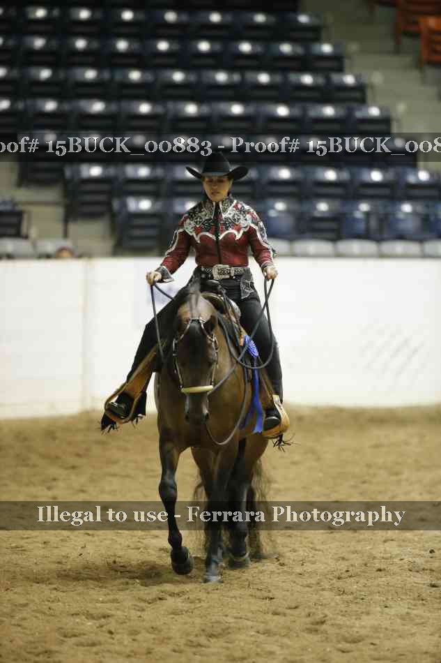 Proof 15BUCK_00883