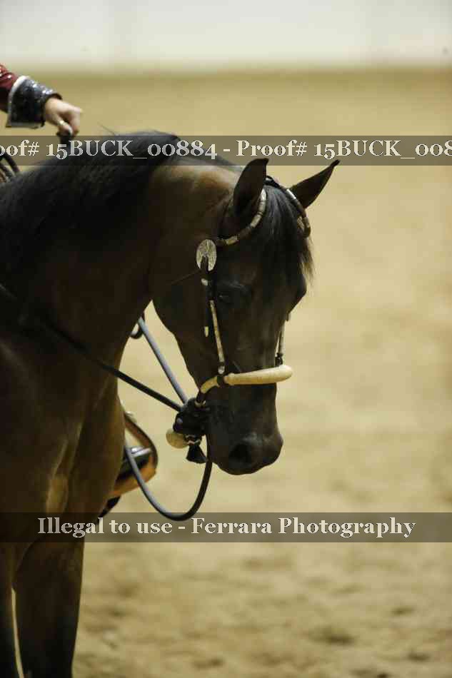 Proof 15BUCK_00884