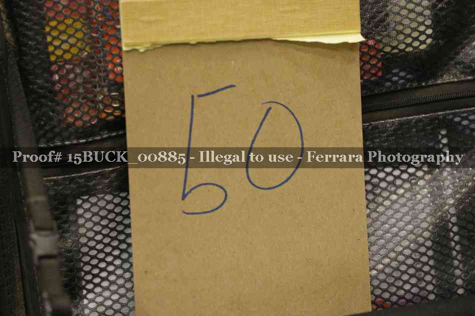 Proof 15BUCK_00885