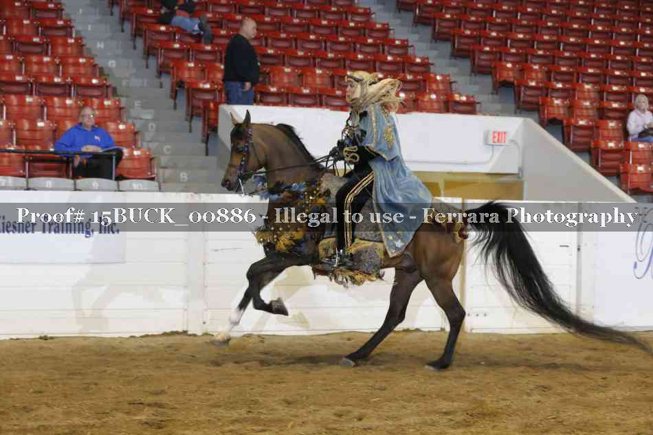 Proof 15BUCK_00886