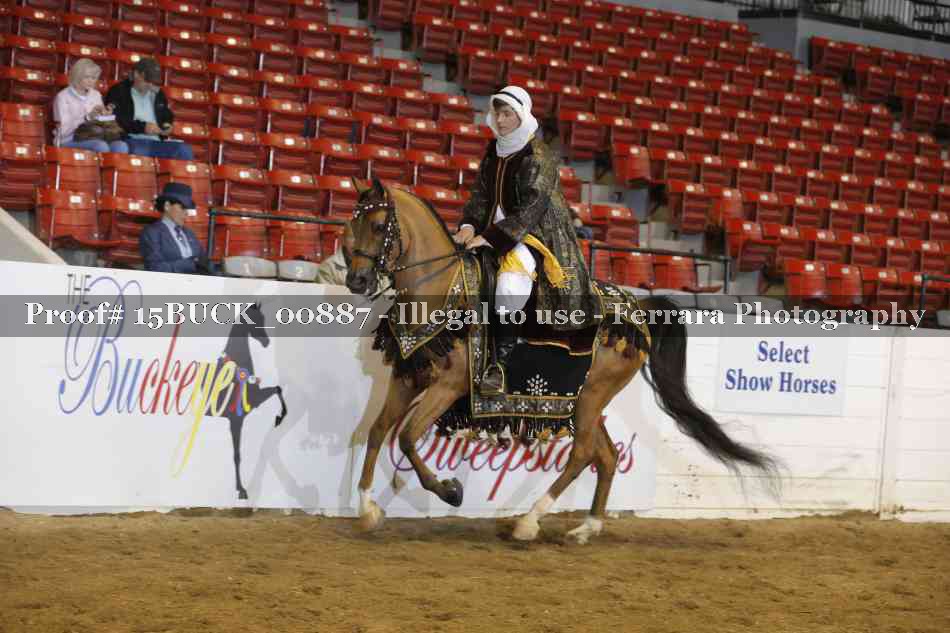 Proof 15BUCK_00887