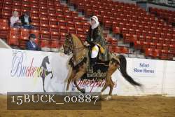 15BUCK_00887 proof