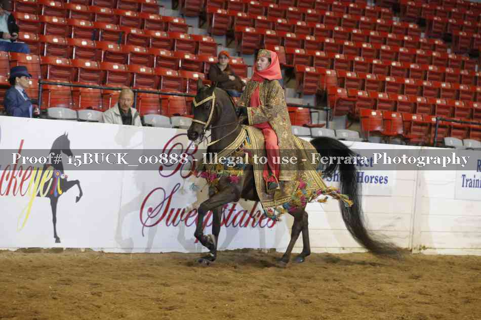 Proof 15BUCK_00888