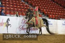 15BUCK_00888 proof