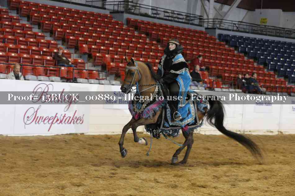 Proof 15BUCK_00889
