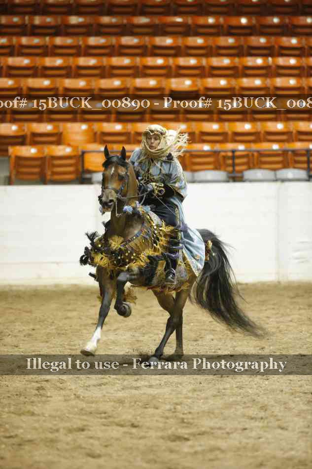 Proof 15BUCK_00890