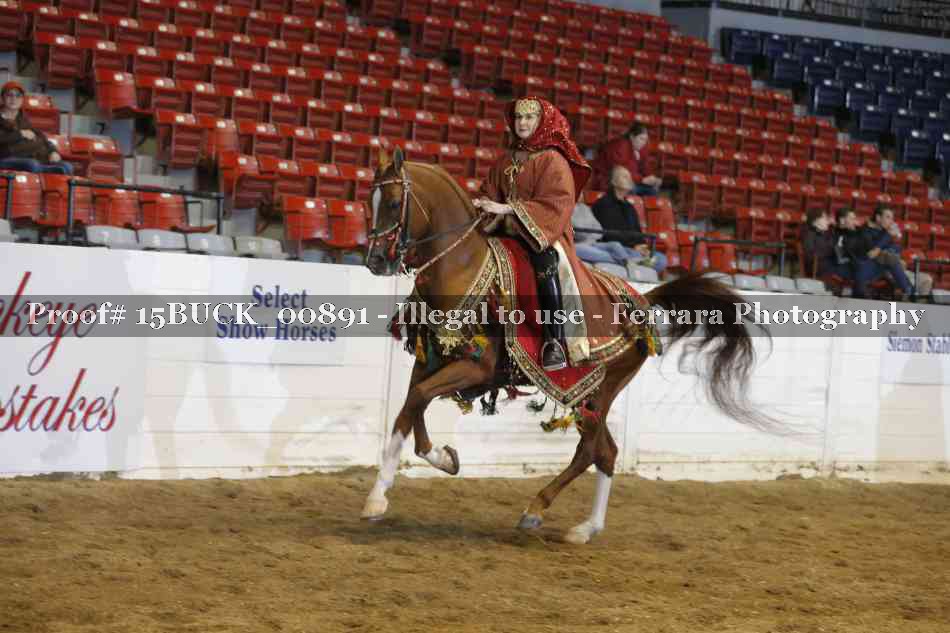 Proof 15BUCK_00891