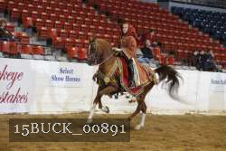 15BUCK_00891 proof