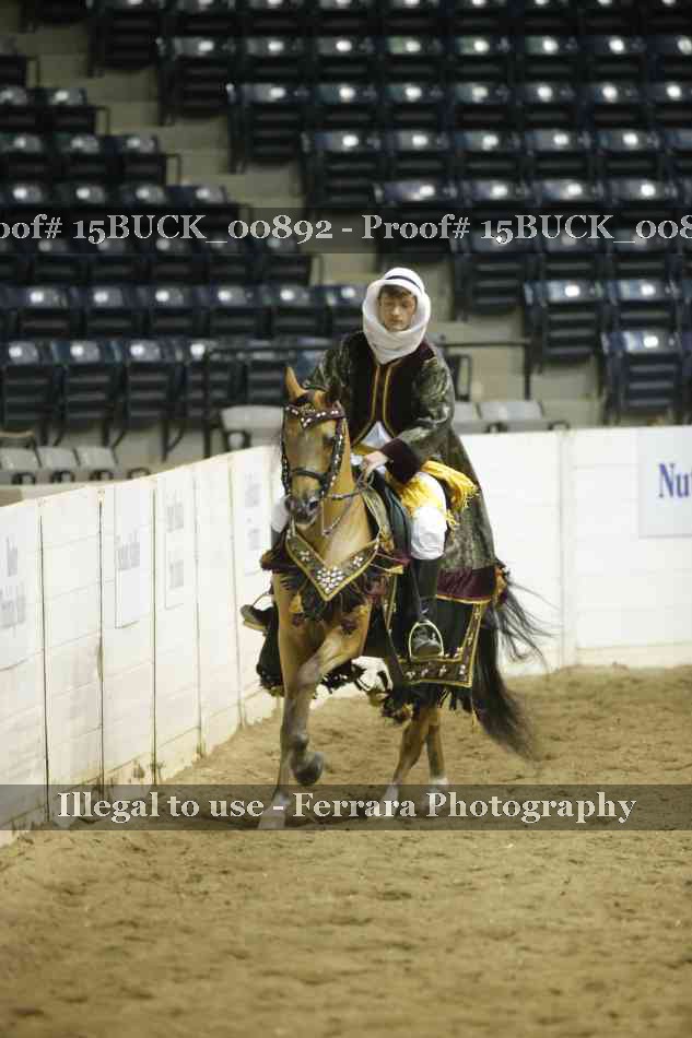 Proof 15BUCK_00892