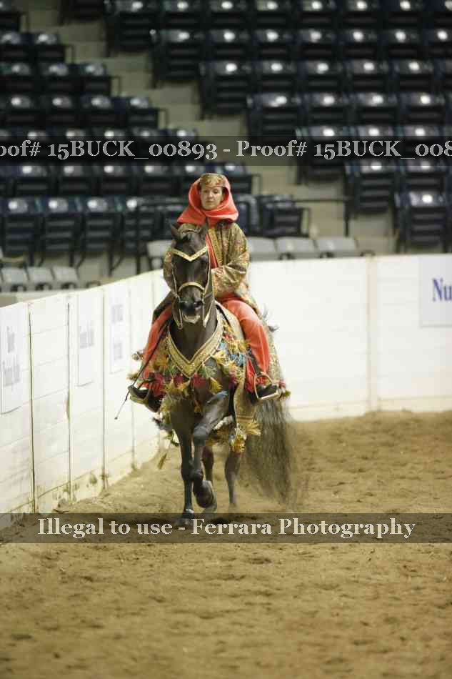 Proof 15BUCK_00893