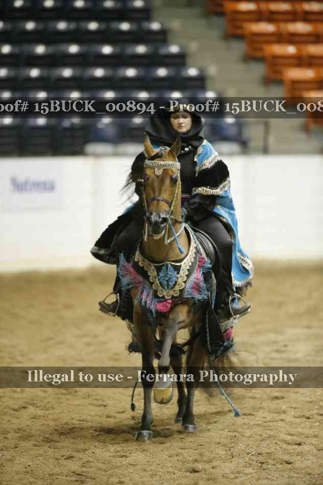 Proof 15BUCK_00894