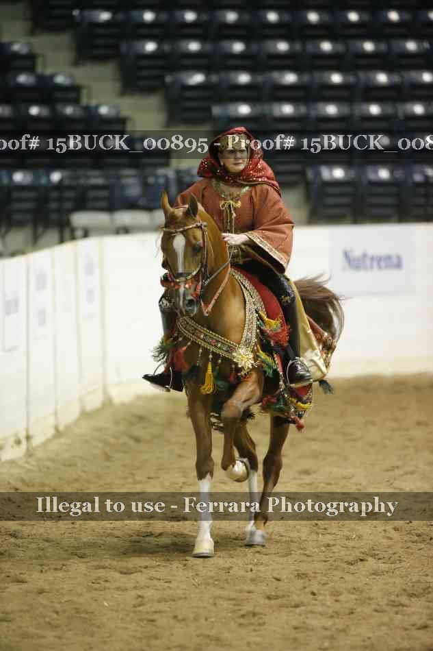 Proof 15BUCK_00895