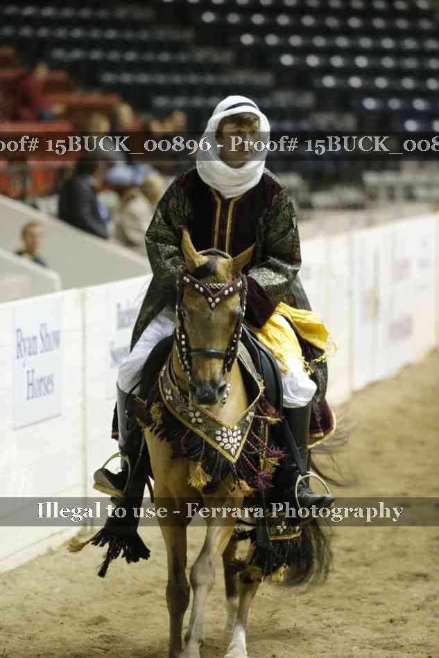 Proof 15BUCK_00896