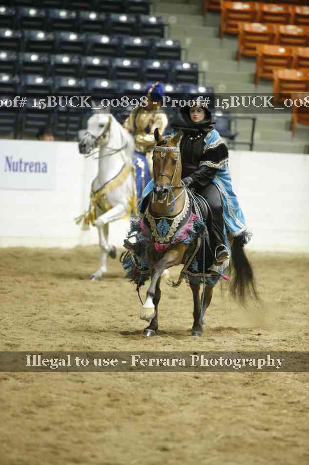 Proof 15BUCK_00898