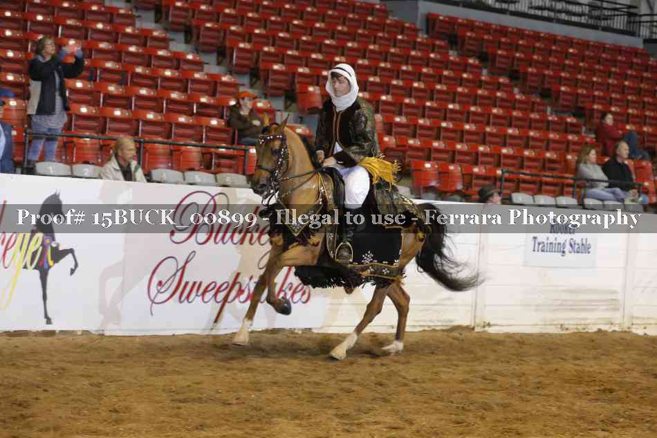 Proof 15BUCK_00899