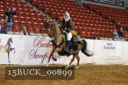 15BUCK_00899 proof