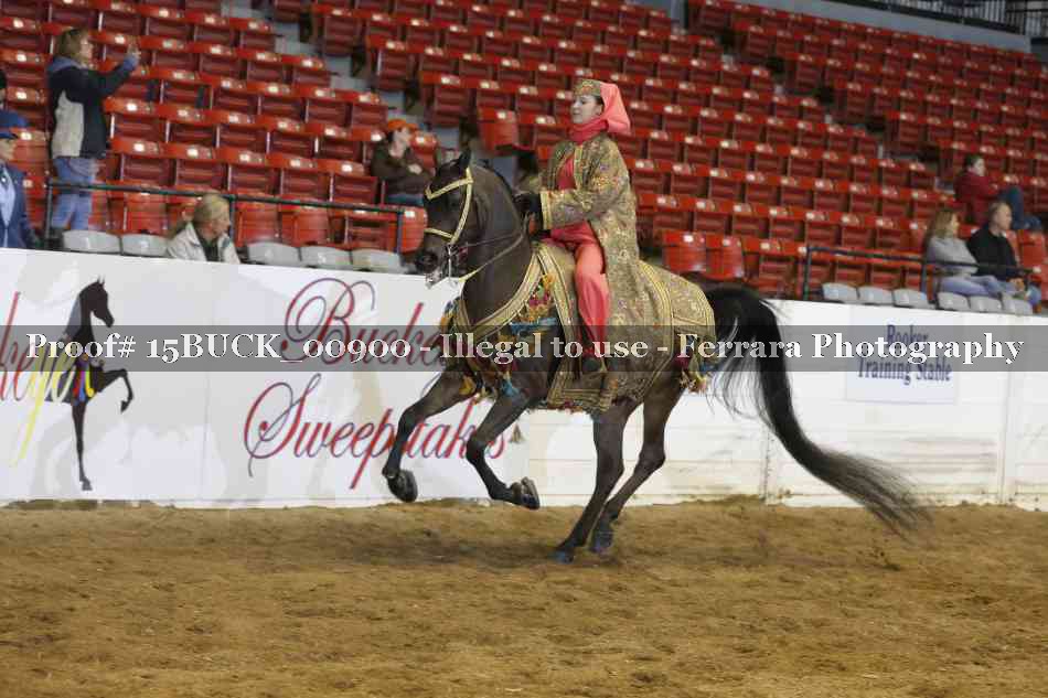 Proof 15BUCK_00900