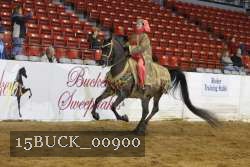 15BUCK_00900 proof