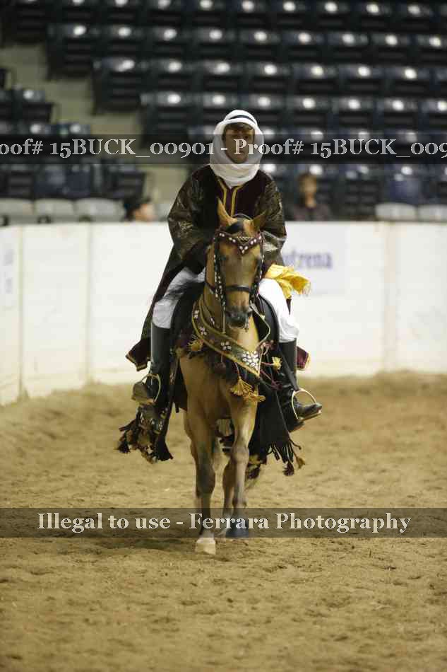 Proof 15BUCK_00901
