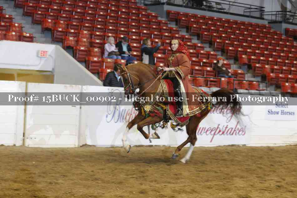 Proof 15BUCK_00902