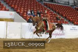 15BUCK_00902 proof