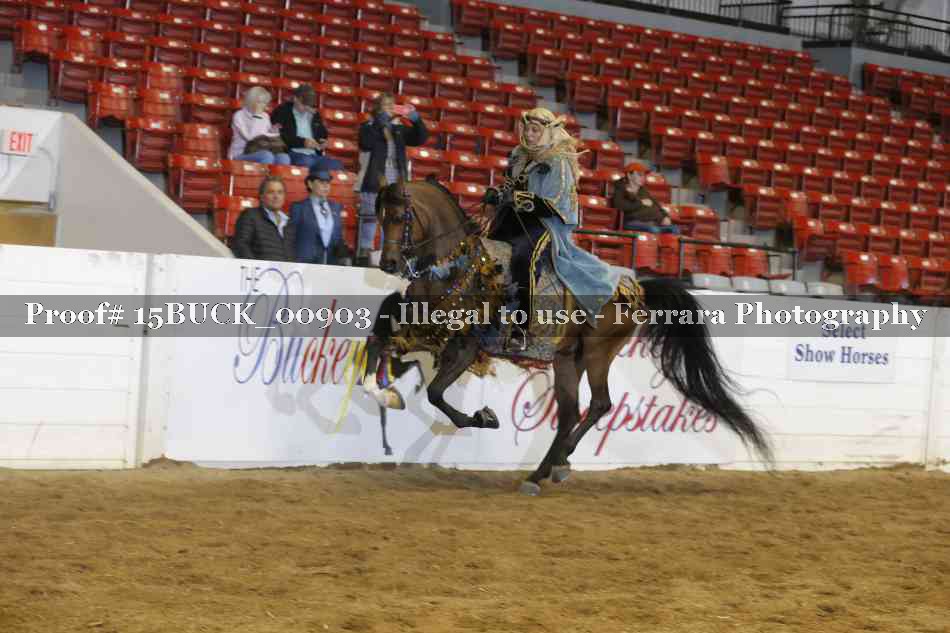Proof 15BUCK_00903
